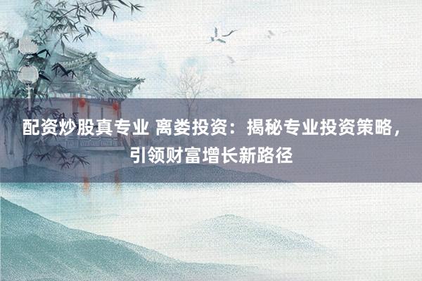 配资炒股真专业 离娄投资：揭秘专业投资策略，引领财富增长新路径
