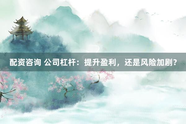 配资咨询 公司杠杆：提升盈利，还是风险加剧？