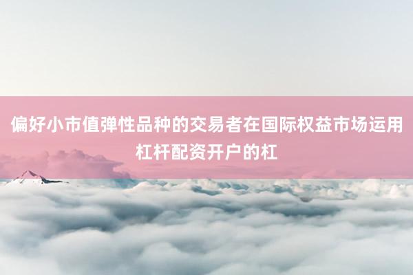 偏好小市值弹性品种的交易者在国际权益市场运用杠杆配资开户的杠