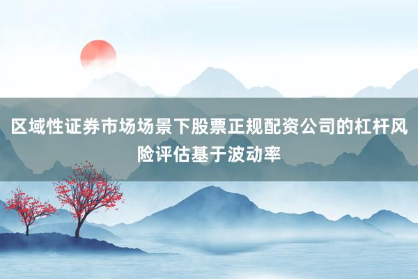 区域性证券市场场景下股票正规配资公司的杠杆风险评估基于波动率