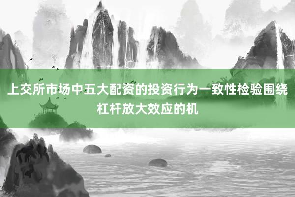 上交所市场中五大配资的投资行为一致性检验围绕杠杆放大效应的机