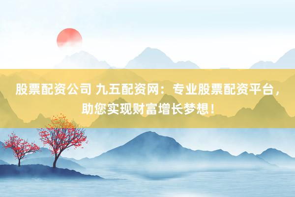 股票配资公司 九五配资网：专业股票配资平台，助您实现财富增长梦想！