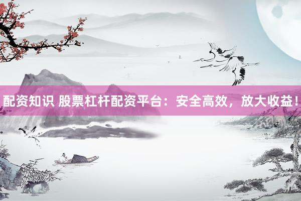 配资知识 股票杠杆配资平台：安全高效，放大收益！